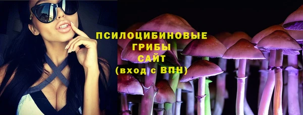 ПСИЛОЦИБИНОВЫЕ ГРИБЫ Карталы