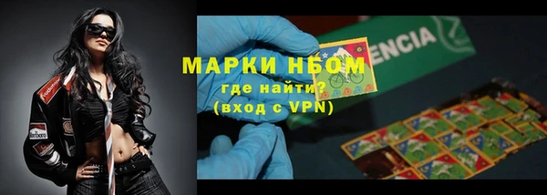сатива Касимов