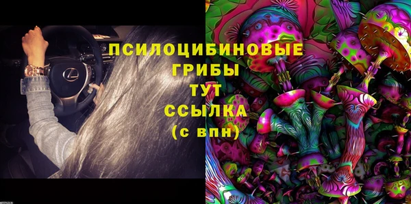 марки nbome Карпинск