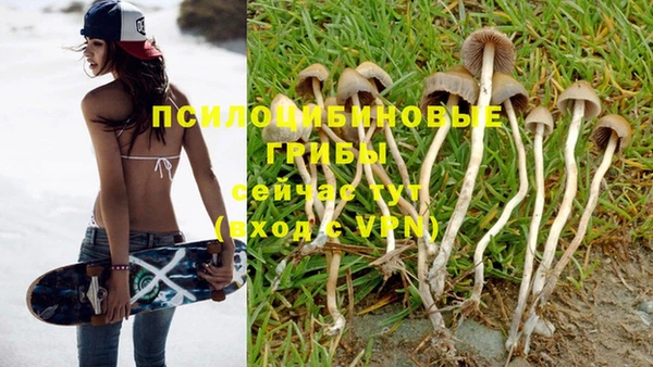 марки nbome Карпинск