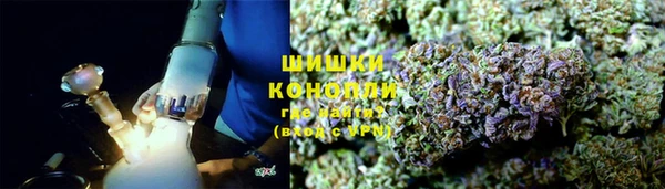 сатива Касимов