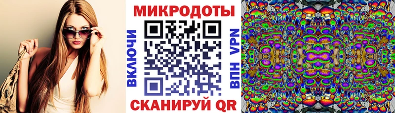 Купить закладки Каневская Псилоцибиновые грибы MAGIC MUSHROOMS